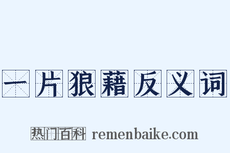 一片狼藉反义词是什么意思的图片